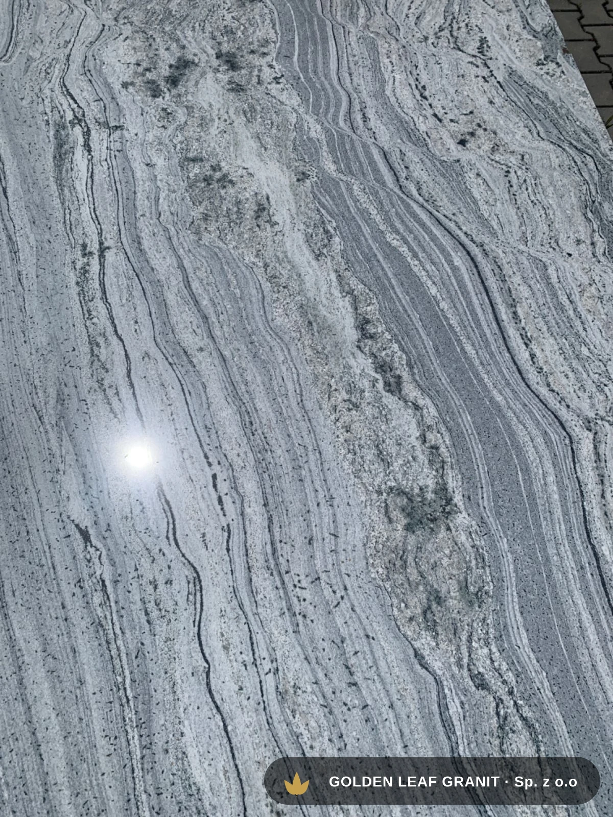 Arctic white — pełna płyta